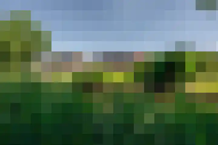 Moerland 11 Middelburg thumbnail 20
