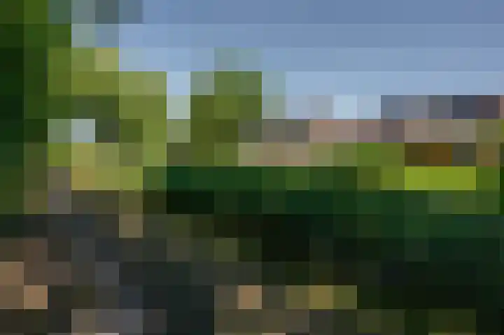 Moerland 11 Middelburg thumbnail 22