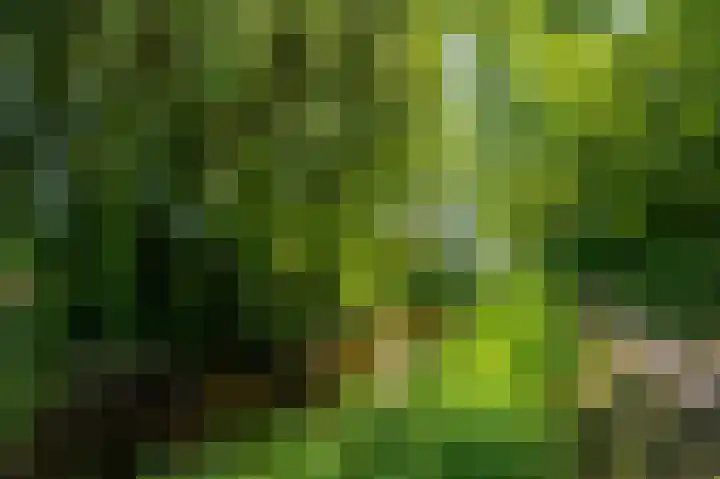 Moerland 11 Middelburg thumbnail 23