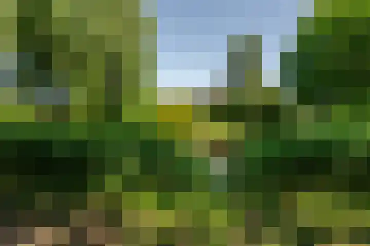 Moerland 11 Middelburg thumbnail 24