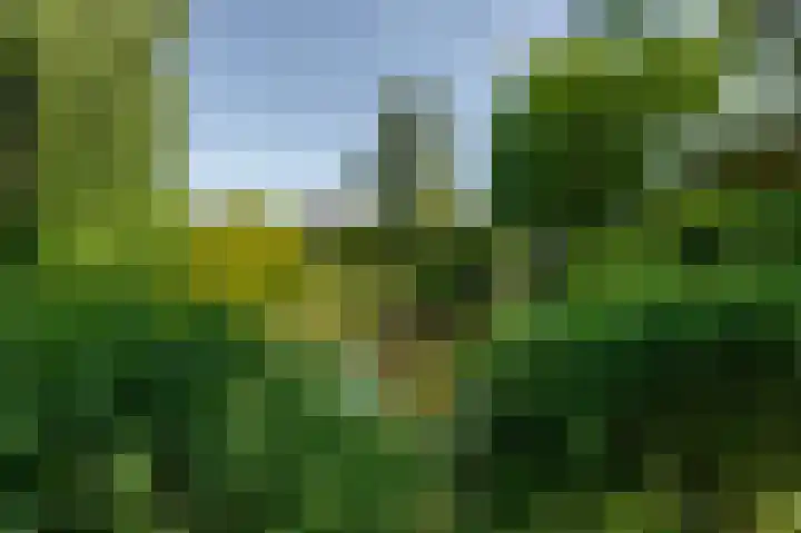 Moerland 11 Middelburg thumbnail 25