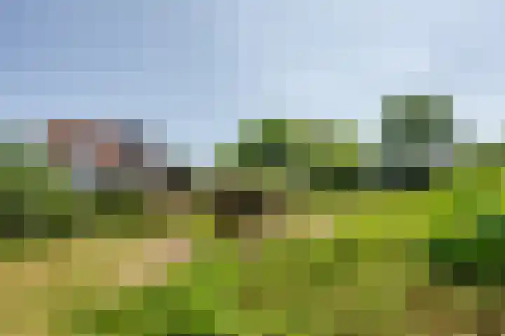Moerland 11 Middelburg thumbnail 27