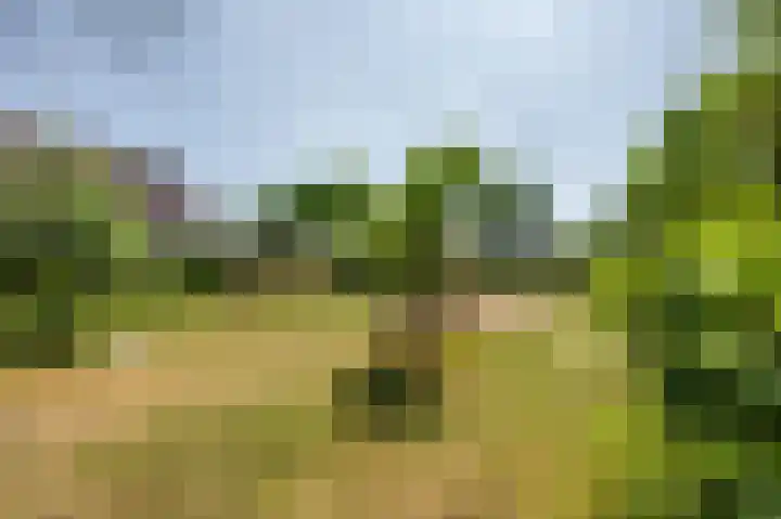 Moerland 11 Middelburg thumbnail 28