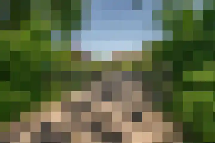 Moerland 11 Middelburg thumbnail 29