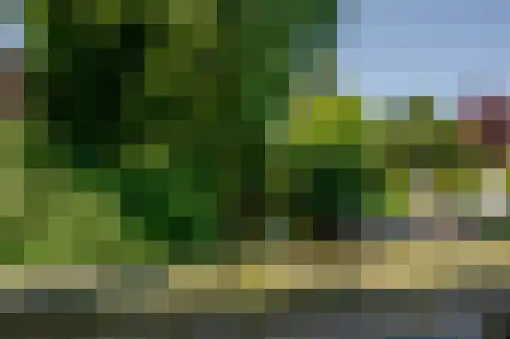 Moerland 11 Middelburg thumbnail 30