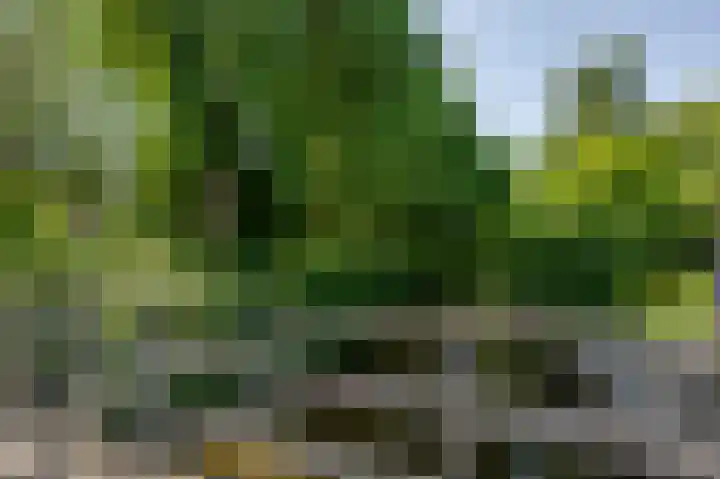 Moerland 11 Middelburg thumbnail 31