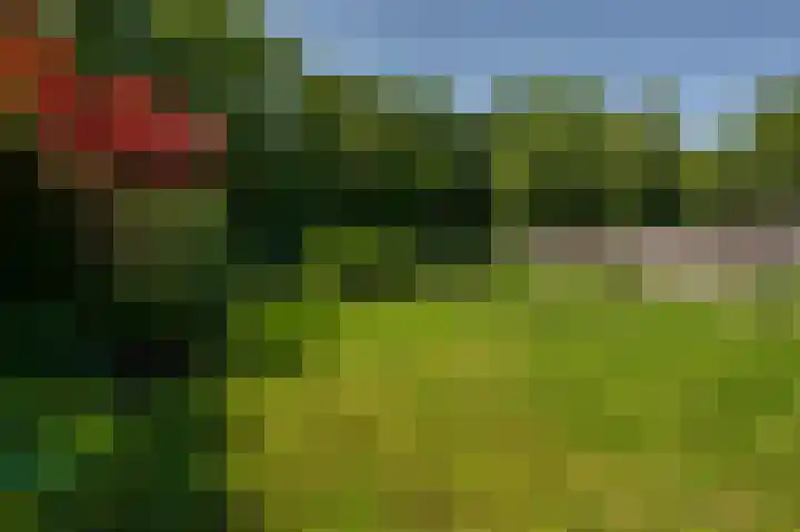 Moerland 11 Middelburg thumbnail 32