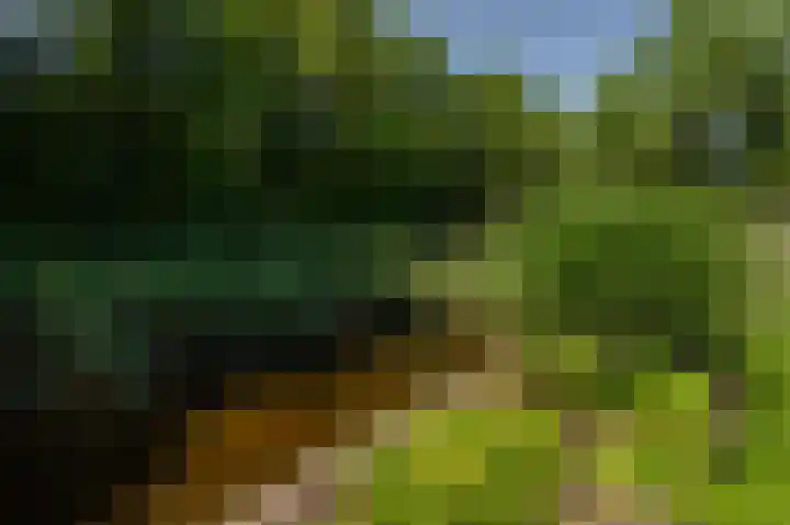 Moerland 11 Middelburg thumbnail 33