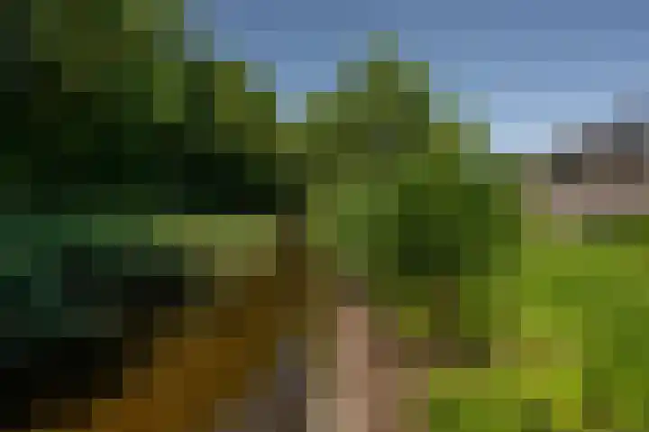 Moerland 11 Middelburg thumbnail 34