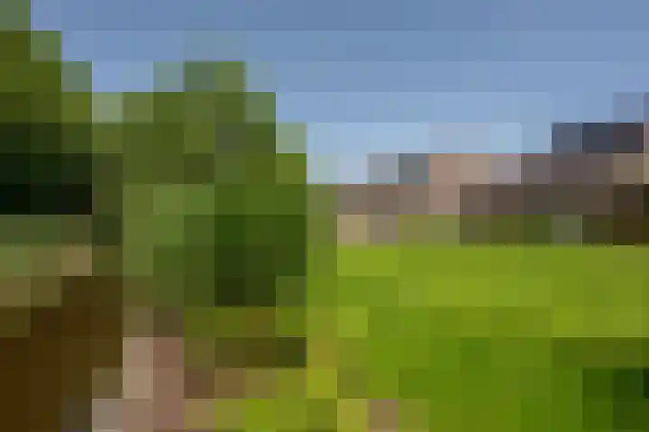 Moerland 11 Middelburg thumbnail 35