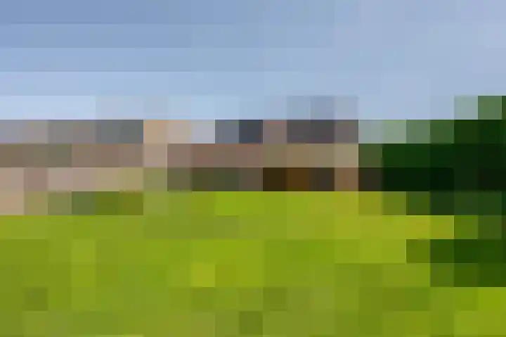 Moerland 11 Middelburg thumbnail 37
