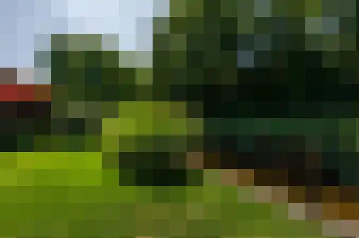 Moerland 11 Middelburg thumbnail 39