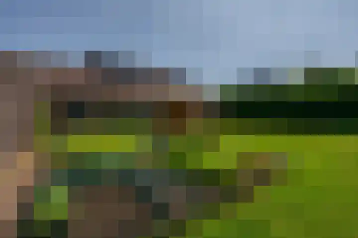 Moerland 11 Middelburg thumbnail 40