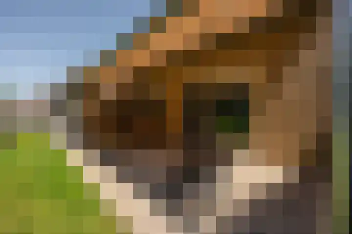 Moerland 11 Middelburg thumbnail 42