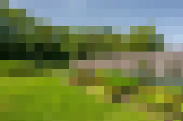 Moerland 11 Middelburg thumbnail 45