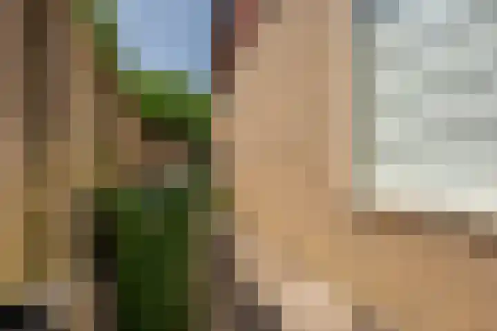 Moerland 11 Middelburg thumbnail 47
