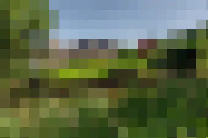 Moerland 11 Middelburg thumbnail 64
