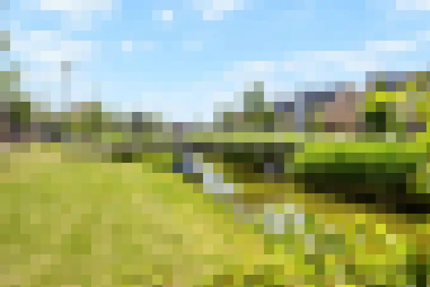 Moerlant 14 Zuid-Scharwoude thumbnail 66