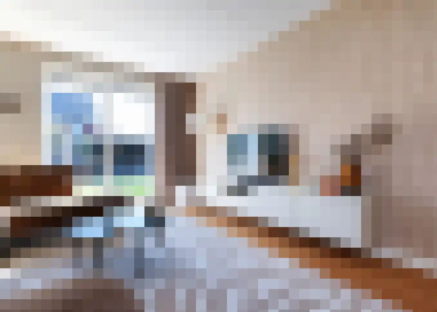 Moerlant 2 Zuid-Scharwoude thumbnail 13