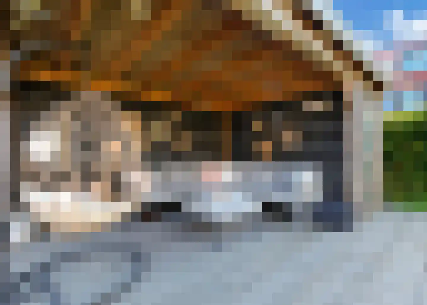 Moerlant 2 Zuid-Scharwoude thumbnail 34