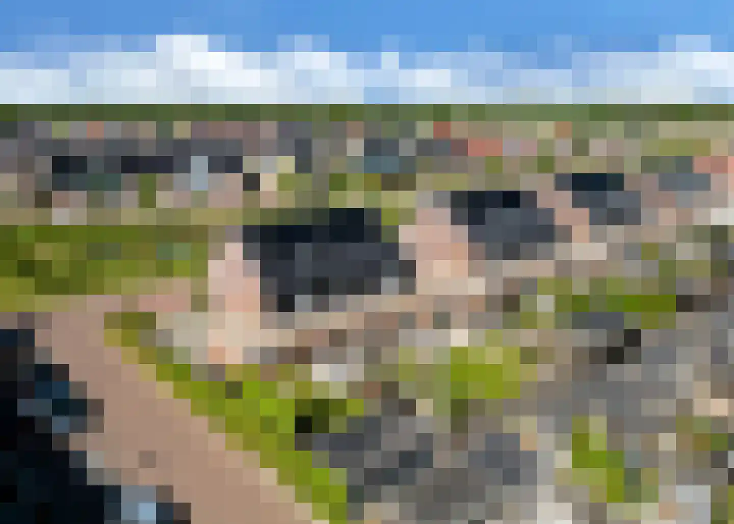 Moerlant 2 Zuid-Scharwoude thumbnail 38