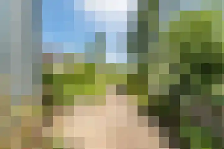Moerlant 23 Zuid-Scharwoude thumbnail 10