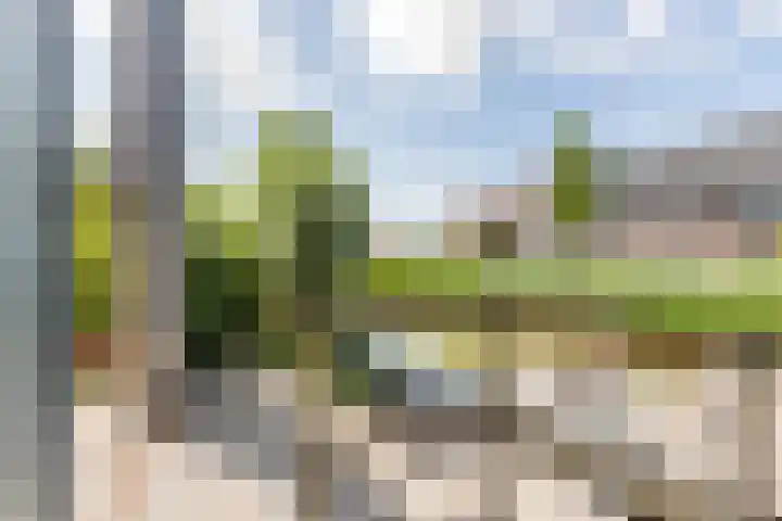 Moerlant 23 Zuid-Scharwoude thumbnail 37