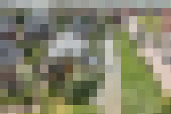 Moerlant 23 Zuid-Scharwoude thumbnail 5