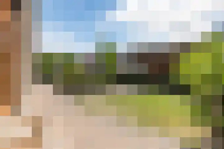 Moerlant 23 Zuid-Scharwoude thumbnail 66