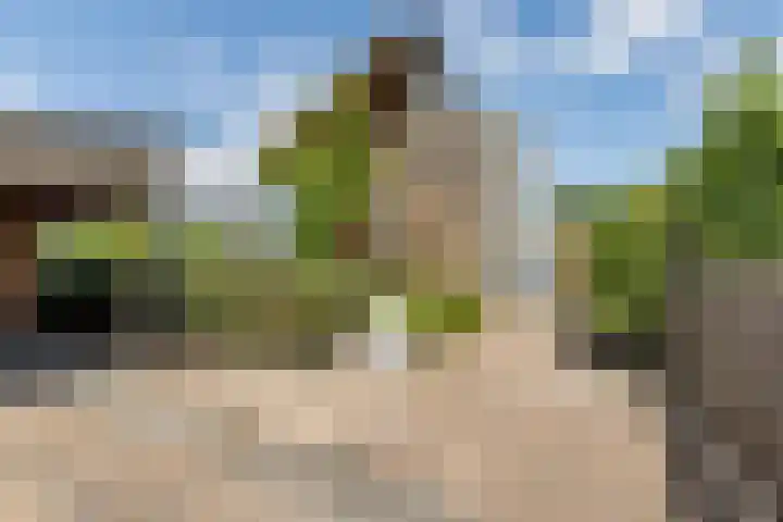 Moerlant 23 Zuid-Scharwoude thumbnail 68