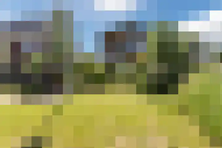 Moerlant 23 Zuid-Scharwoude thumbnail 7
