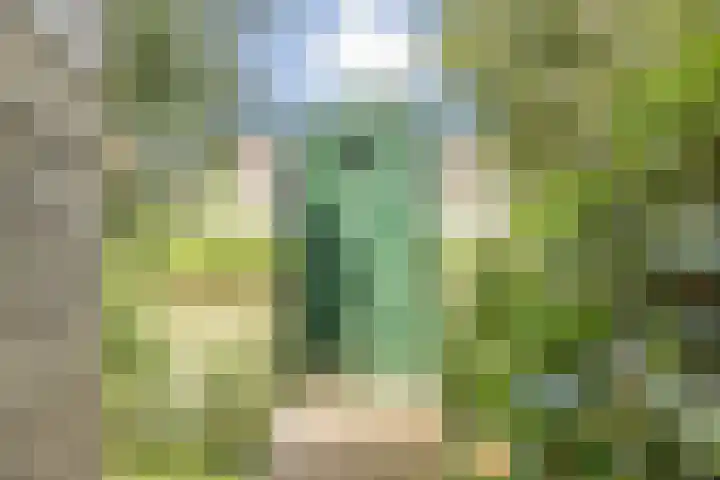 Moerlant 23 Zuid-Scharwoude thumbnail 71