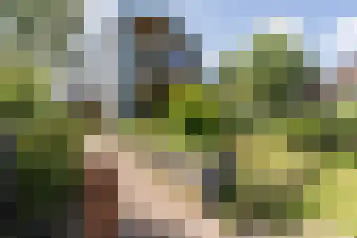 Moerlant 23 Zuid-Scharwoude thumbnail 8