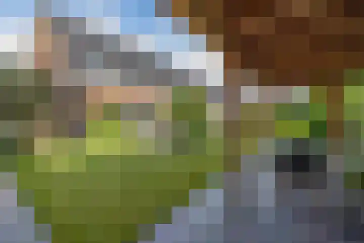 Moerlant 6 Zuid-Scharwoude thumbnail 39