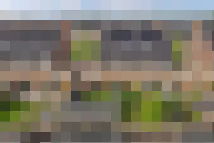 Moerlant 6 Zuid-Scharwoude thumbnail 43