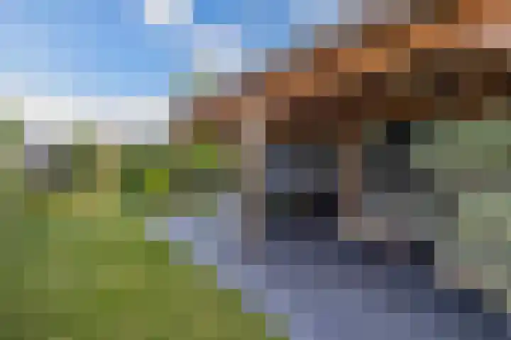 Moerlant 6 Zuid-Scharwoude thumbnail 44