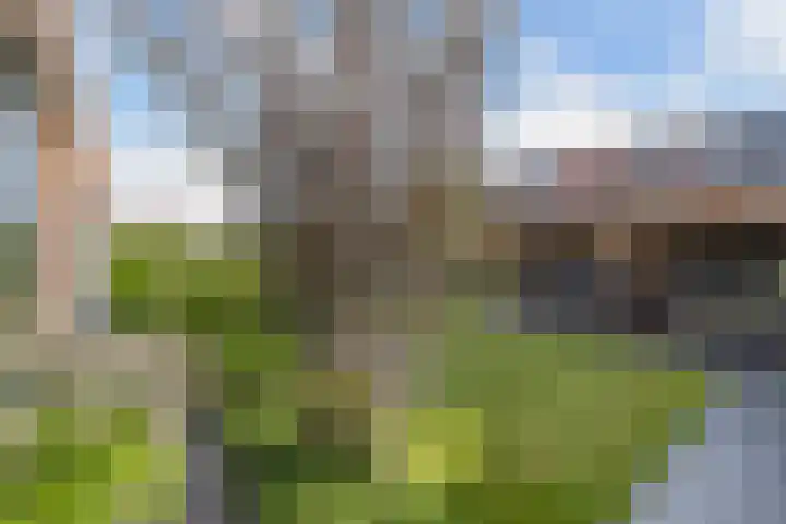 Moerlant 6 Zuid-Scharwoude thumbnail 45
