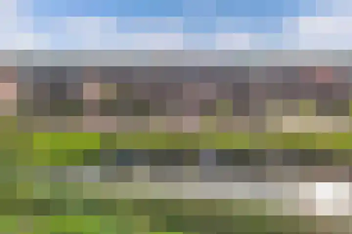 Moerlant 6 Zuid-Scharwoude thumbnail 47