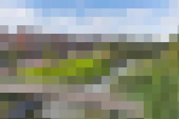 Moerlant 6 Zuid-Scharwoude thumbnail 48