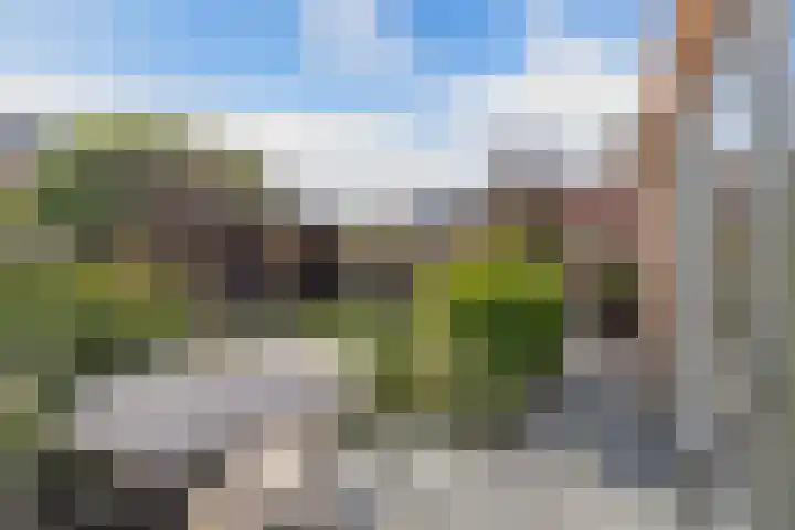 Moerlant 6 Zuid-Scharwoude thumbnail 5