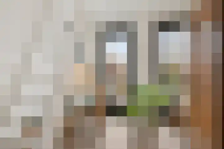 Moermond 23 Hoofddorp thumbnail 33