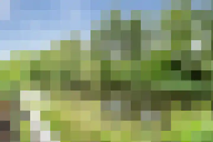 Moermond 7 Hoofddorp thumbnail 13
