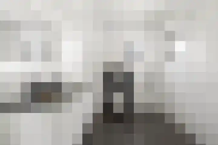 Moermond 7 Hoofddorp thumbnail 32