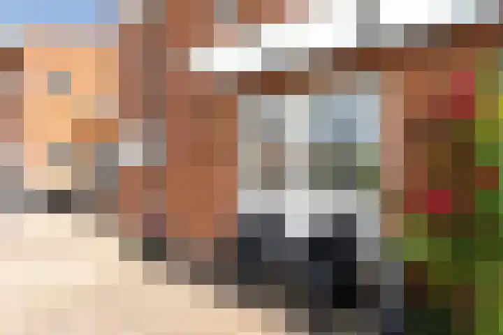 Moermond 7 Hoofddorp thumbnail 43
