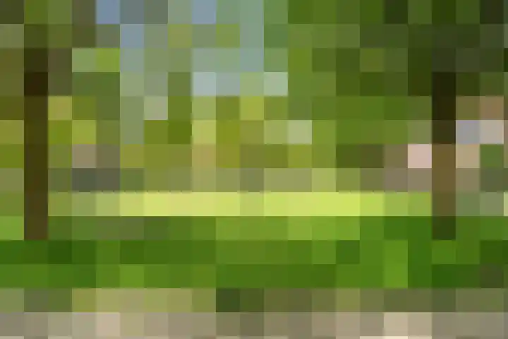 Moermond 7 Hoofddorp thumbnail 47