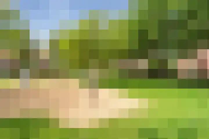Moermond 7 Hoofddorp thumbnail 48