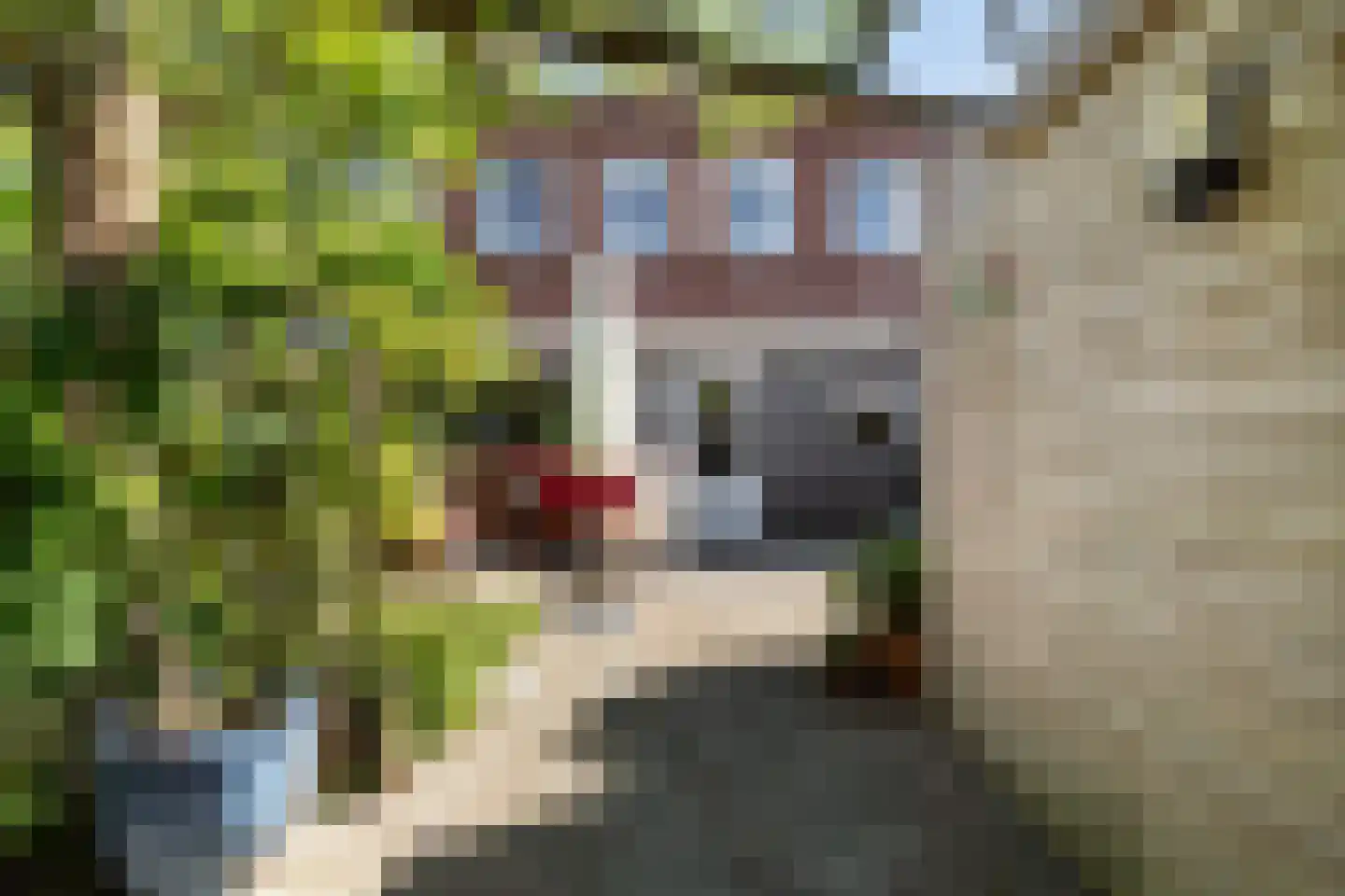 Moermondstraat 11 Den Haag thumbnail 32