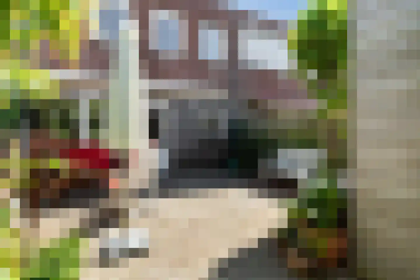 Moermondstraat 11 Den Haag thumbnail 33