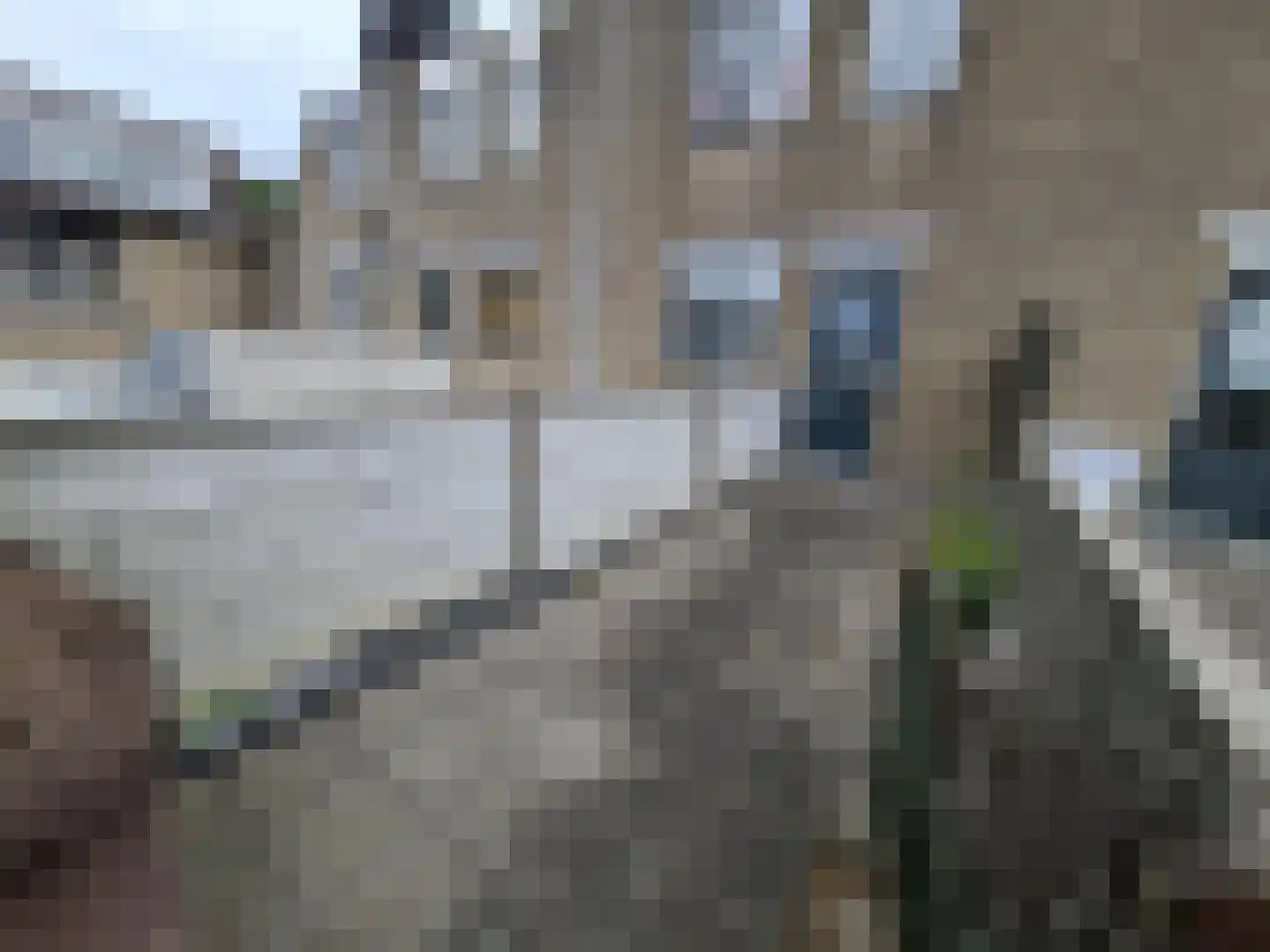 Moermondstraat 14 Rotterdam thumbnail 18