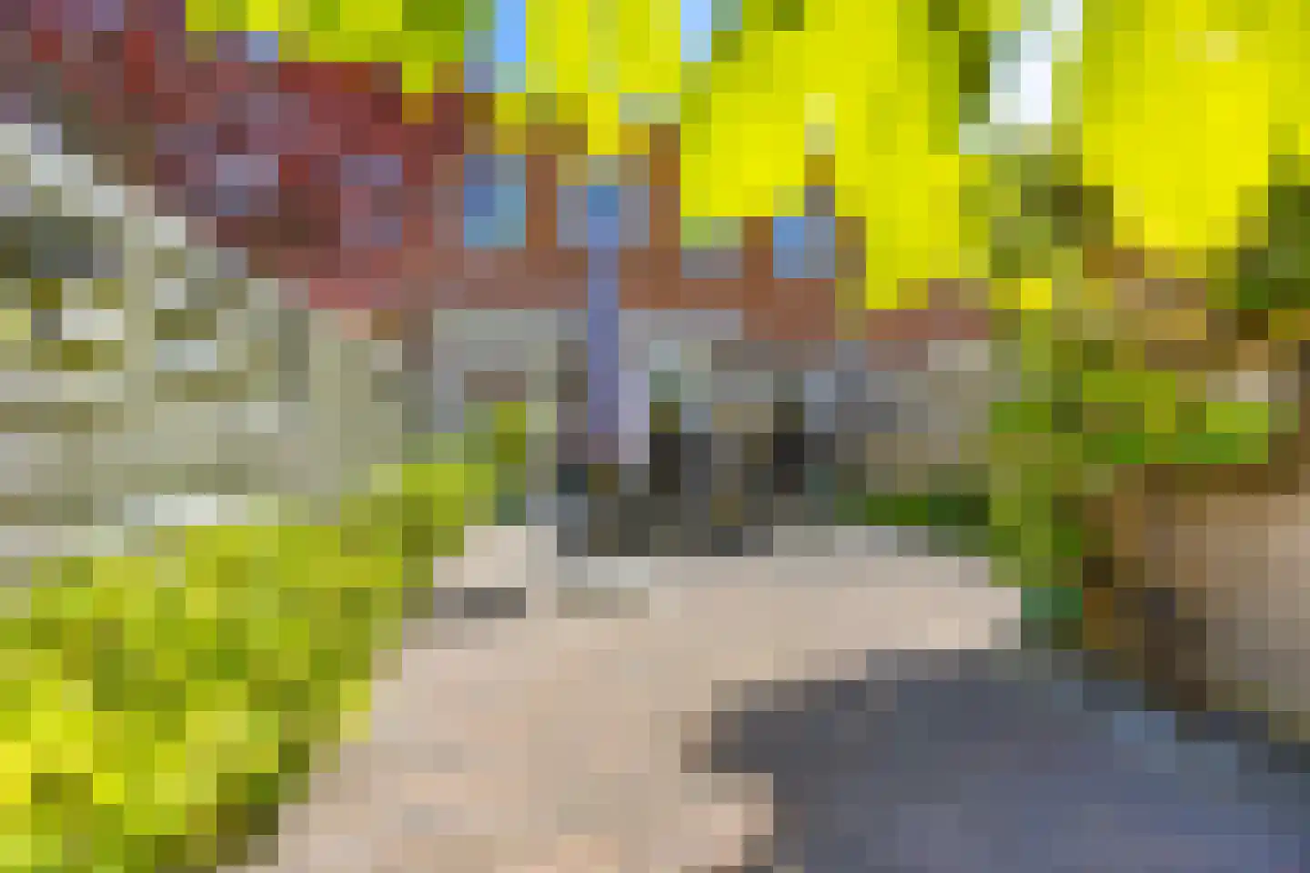Moermondstraat 15 Den Haag thumbnail 19